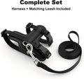Plutus Pet Adjustable Cat Harness and Leash Set, with Leather Trim