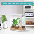 Pronetcus Betta Fish Tank, 2 Gallon Glass Aquarium Starter Kit, Small Fish Tank with Filter and Light.