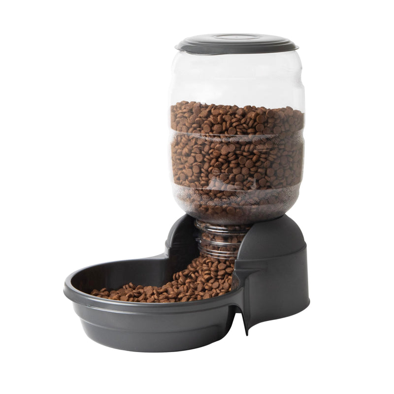 Petmate Replendish Automatic Dog Feeder Gravity Pet Treat Dispenser with Microban Protection Base, Wide Mouth Bowl, 100% BPA Free - 10 lb