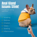 Petglow Anal Gland Medicine, Anal Cleaning for Dogs, Anal Gland Support, Pet Grooming Spray, Treats and Prevents Dog Anal Gland Infection, Feline Anal Gland Relief Hygiene Spray - 4 fl oz