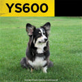 Dogtra YS600 Anti Bark Collar for Medium to Large Dogs, Adjustable 10 Intensity Levels, Vibration Warning, Low/High Stim
