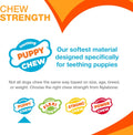 Nylabone Puppy Chew 2-in-1 Teething Freezer Bone Dog Chew Toy