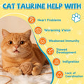 Taurine for Cats Drop - Taurine Supplement for Cats, Supports Feline Heart & Immune Function, Vision, Energy & Vitality, Coenzyme Q10, L-Carnitine, L-Arginine, Vitamin, Liquid Cat Taurine 60ML