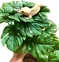 Woyrise 2Pack Reptile Plants, Terrarium Hanging Plant Vines, Artificial Leaves with Suction Cup, Bearded Dragon Tank Acc