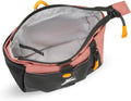 OllyDog Backcountry Day Bag | Dog Training Treat Pouch | Eco-Friendly Recycled Fabric Fanny Pack with Zipper Closure, Bu