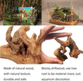 Tfwadmx 5PCS Aquarium Driftwood Branches 4''-7.8'' Reptiles Trunk Natural Wood Fish Tank Decoration Plant Stump Ornament