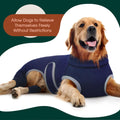 Kuoser Dog Surgery Recovery Suit, Professional Dog Surgical Suit for Back Legs, Soft Dogs Recovery Sleeve to Prevent Lic