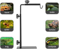 Reptile Heat Lamp Stand, Adjustable 16"- 31" H, Sturdy Metal Light Holder