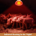 250W Red Heat Lamp Bulbs for Chicken,Infrared Flood Light Heat Lamp Bulb, Incandescent Light Heat Lamps for Chicks, Rept