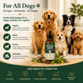 Pawsy Parasite Cleanse Drops, Probiotic Botanical Formula with Herbal Blend – Gut Health, Promotes Healthy Gut, Applicab