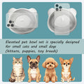 2 Pack Elevated Pet Bowls for Small Cats and Dogs: 15° Tilted Anti-Vomiting Stainless Steel Raised Dishes, 5.9” Whisker & Spine Friendly Indoor Food & Water Bowls
