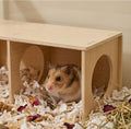 Hamster Hideout Tunnel and Hamster Bridge Set, Wooden Hamster Cage Accessories, Hamster Platform and Hamster Toys, 2-Cha