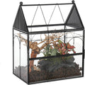 NCYP Glass Enclosure with Vent Holes for Jumping Spiders, Praying Mantis, Small Insect - 7.5" x 4.9" x 9" Front Opening 