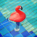 XY-WQ Floating Pool Thermometer, Large Size Easy Read for Water Temperature with String for Outdoor and Indoor Swimming 
