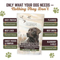 All American Canine Dog Weight Gainer – High Calorie Dog Food Supplement & Protein Powder for Rapid Weight Gain, Mass, and Recovery – Appetite Stimulant – 60 Servings