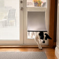 PAC11-11039 Pet Door Replacement Flaps for Dog and Cat, Doggie Replacement Flap Doors Compatible with Pet-Safes Freedom 