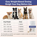 Dog Dewormer - Pyrantel Pamoate & Praziquantel Tablets for Tapeworms, Roundworms & Hookworms, 50 Tablets