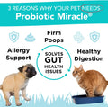 Probiotics for Cats & Dogs : Probiotic Miracle : Bowel & Gut Support : Digestive Health : Stop Diarrhea, Loose Stool