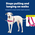 PetSafe Easy Walk Harness, No Pull Dog Harness, Raspberry