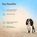 PupDose Dental Powder for Dogs, Fresh Breath & Oral Care Support for Daily Dog Dental Care-100G(1 Bottle)