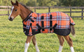 CHALLENGER 1200D Foal Winter Blanket Miniature Pony Donkey Bellyband Turquoise Rustic