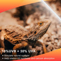 LUCKY HERP T5 UVB Reptile Light 2 Pack, 24W UVB 10.0 Reptile Light Bulb, UVA UVB Fluorescent Lamp Tube, UVB Lamp for Liz