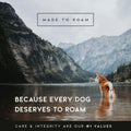MADE TO ROAM Premium Explorer Leash - Climbing Rope Leash with Autolocking Aviation Aluminum Carabiner - Colorado Nights