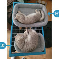 PETLESO Small Cat Bed Mat, 22" x 16" Plush Cushion with Surrounding Pillow for Small to Meidum Dogs Cats Sleeping, Indoor Pet Beds Furniture Carrier Crate Anti Skid Pad, Washable, Medium