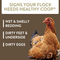 FlockLeader Healthy Coop, Odor & Moisture Neutralizer for Chicken Coop,12lb