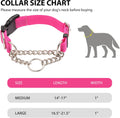 Yunleparks Martingale Dog Collar with Quick Release Buckle Steel Chain No Pull Training Reflective Collar for Medium Large Dogs(Pink, Medium)