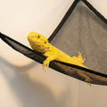 Snake Enclosure Accessories, Reptile Climbing Ring Hammock Set, Snake Tank Accessories for Ball Python, Corn Snake, Leop