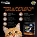 Scoop A Day for Cats | Pumpkin & Blue Mussel Powder Supplement | Daily Digestion, Joint, Mobility, Skin & Coat Support |