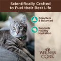 Wellness CORE Tiny Tasters Flaked Adult Wet Cat Food, Natural, Protein Rich, Grain Free, Tuna and Salmon Recipe, 1.75 oz, Pack of 12 Pouches