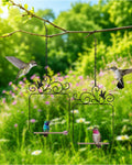 PACETAP Hummingbird Swings and Perches Metal Frame 2 Pack, Wild Bird Swing Outdoor Bird Perch with Wooden Dowel and 2 Hanging Chain for Hanging Indoor, Outdoor, Trunk, Lawn, Patio, Garden (Black)