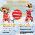 Dog’s Recovery Suit Post Surgery Shirt for Puppy, Full Coverage Dog's Bodysuit Wound Protective Surgical Clothes for Small and Medium Pets (Yellow Black Stripe-m)