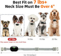 Shock Collar for Small Dogs, Ultra-Light & Slim Dog Training Collar with Remote, Tailored for Small Dogs 5-30lbs & Mediu