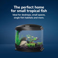 Aqueon LED MiniBow Small Aquarium Fish Tank Kit with SmartClean Technology, Small Fish Tank, Black, 5 Gallon