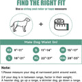 wegreeco Washable Male Dog Belly Band (Stylish Pattern) - Pack of 3 - Dog Diapers Male - Washable Male Dog Belly Wrap (B