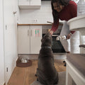 Dog Feeding Reminder, Dog Fed Sign Tracker -Daily Am/Pm Chart Slider Sign for Pet Fed and Pill Reminder, Easy to Use On 