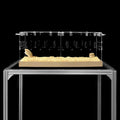 GuineaLoft™ Acrylic Cage (Model-P3) - Small 2x1' Enclosure w/Lid & Bottom
