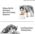 Petvillage Dog Bowls,Cone Friendly Non Slip Single Dog Bowl with Stainless Steel Inner, Raised Bowls for Small Dogs Spaniel Dogs Long Ear, High Capacity, M/2 Cup White