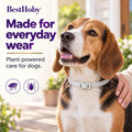 Flea and Tick Collar for Dogs 4 Packs,Dog Collars with Natural Essential Oils,Waterproof, Adjustable for Small Medium La