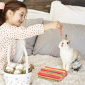 ERKOON 40Pcs Rabbit Timothy Hay Sticks, Five Flavors：PurplePotato/TimothyHay/Pumpkin/Strawberry/Carrot，Suitable Guinea P