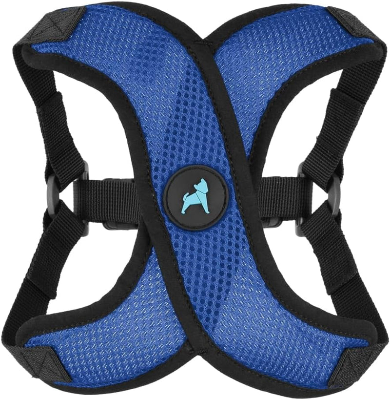 Gooby Comfort X Step-in Lite Harness, Choke-Free, Blue, Medium