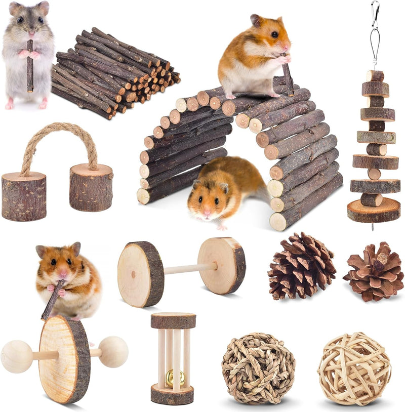 ERKOON 11 Pack Chinchillas Chew Toys, Toys Accessories for Teeth Care, Natural Apple Wood Ladder Bell Roller for Russian