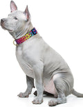 TMOODEL Reflective Dog Collar for Medium Dogs, Cute Leopard Style Adjustable Heavy-Duty Nylon Puppy Collar for Boy and Girl Female, Soft Pet Accessories with Quick Release Buckle, Neon