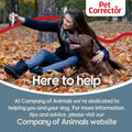 Pet Corrector Dog Trainer | Help Stop Unwanted Behavior | 50mL