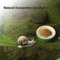 2 Pack Snail Water and Food Bowl，atural Design Food Bowl for Pet Snails, Garden Snails Pet Land Snail Terrarium Supplies