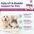 Natural UTI Treatment for Cats & Dogs – Antibiotic-Free Urinary Tract Infection Support Supplement – Bladder & Kidney Health – Incontinence Prevention – 30 Caps