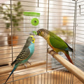 Bird Water Dispenser, 10 Fl Oz Bird Cage Hanging Water Bottle, Automatic Magnetic Mounting Parrot Water Dispenser, Bird 